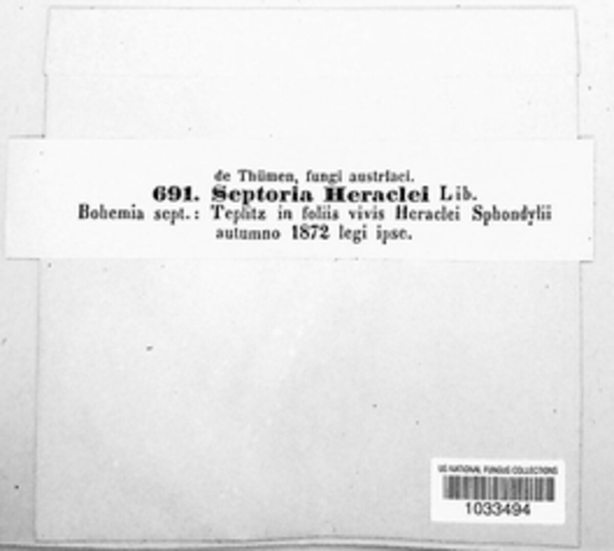 Phloeospora heraclei image